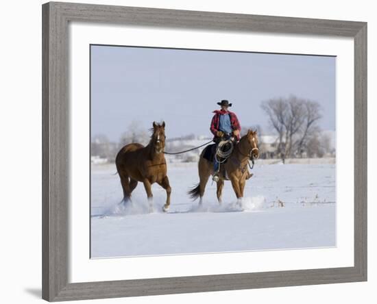 Cowboy Riding Red Dun Quarter Horse Gelding Through Snow, Bethoud, Colorado, USA-Carol Walker-Framed Photographic Print