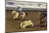 Cowboy Rodeo Competition, Oklahoma City, Oklahoma, USA-Walter Bibikow-Mounted Photographic Print