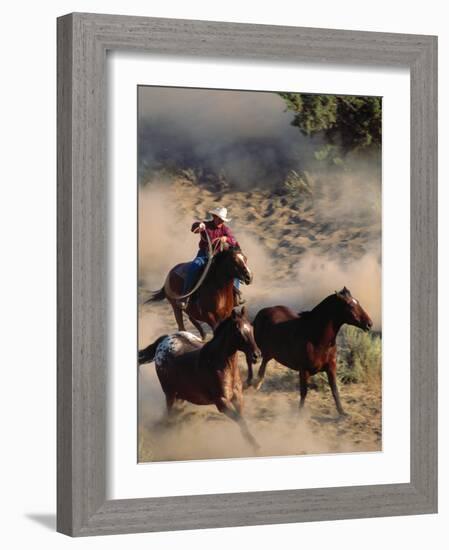 Cowboy Roping Horses-John Luke-Framed Photographic Print