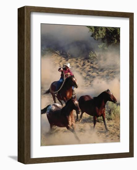 Cowboy Roping Horses-John Luke-Framed Photographic Print