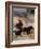 Cowboy Roping Horses-John Luke-Framed Photographic Print