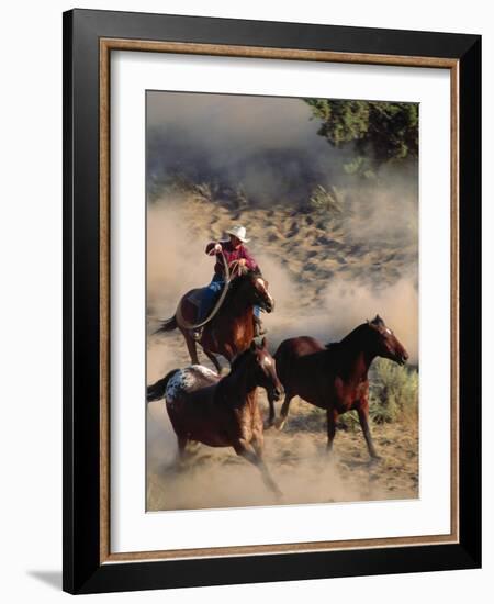 Cowboy Roping Horses-John Luke-Framed Photographic Print