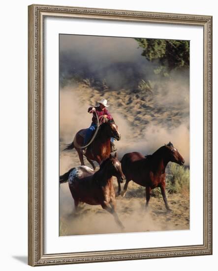 Cowboy Roping Horses-John Luke-Framed Photographic Print