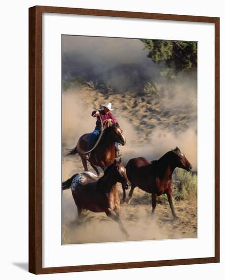 Cowboy Roping Horses-John Luke-Framed Photographic Print