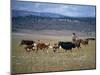 Cowboy Rounding Up Cattle, Diamond Ranch, New Mexico, United States of America, North America-Woolfitt Adam-Mounted Photographic Print