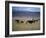 Cowboy Rounding Up Cattle, Diamond Ranch, New Mexico, United States of America, North America-Woolfitt Adam-Framed Photographic Print