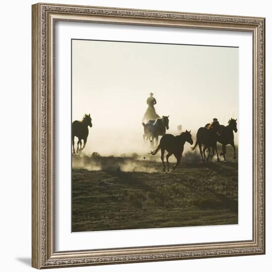 Cowboy Rounding up Quarter Horses-DLILLC-Framed Photographic Print