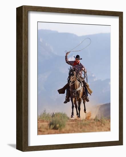 Cowboy Running with Rope Lassoo in Hand, Flitner Ranch, Shell, Wyoming, USA-Carol Walker-Framed Photographic Print