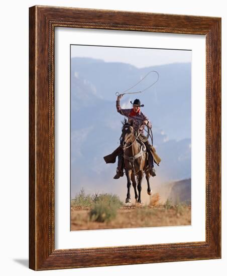 Cowboy Running with Rope Lassoo in Hand, Flitner Ranch, Shell, Wyoming, USA-Carol Walker-Framed Photographic Print