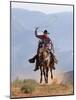 Cowboy Running with Rope Lassoo in Hand, Flitner Ranch, Shell, Wyoming, USA-Carol Walker-Mounted Photographic Print