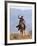 Cowboy Running with Rope Lassoo in Hand, Flitner Ranch, Shell, Wyoming, USA-Carol Walker-Framed Photographic Print