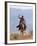 Cowboy Running with Rope Lassoo in Hand, Flitner Ranch, Shell, Wyoming, USA-Carol Walker-Framed Photographic Print