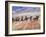 Cowboy's in Motion across the Field-Terry Eggers-Framed Photographic Print