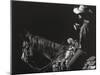 Cowboy Scratchboard I-Julie Chapman-Mounted Art Print