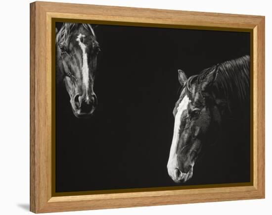 Cowboy Scratchboard III-Julie Chapman-Framed Stretched Canvas