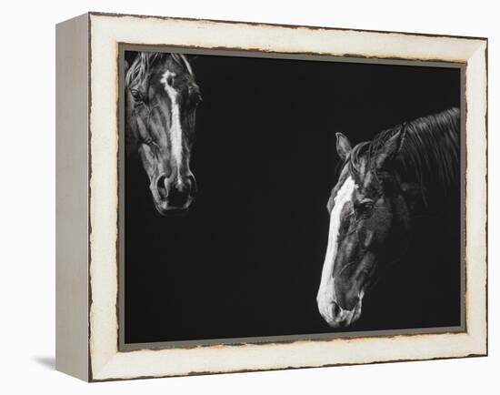 Cowboy Scratchboard III-Julie Chapman-Framed Stretched Canvas
