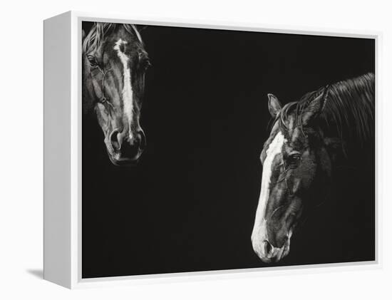 Cowboy Scratchboard III-Julie Chapman-Framed Stretched Canvas