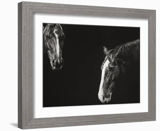 Cowboy Scratchboard III-Julie Chapman-Framed Art Print