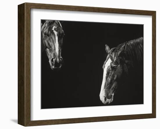 Cowboy Scratchboard III-Julie Chapman-Framed Art Print