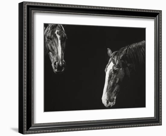 Cowboy Scratchboard III-Julie Chapman-Framed Art Print