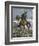 Cowboy Searching for Stray Cattle in the Rocky Mountains-null-Framed Giclee Print