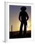 Cowboy Silhouette, Ponderosa Ranch, Seneca, Oregon, USA-Darrell Gulin-Framed Photographic Print