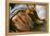 Cowboy Snakeskin Boots and an Antique Suitcase, Santa Fe, New Mexico-Julien McRoberts-Framed Premier Image Canvas