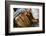 Cowboy Snakeskin Boots and an Antique Suitcase, Santa Fe, New Mexico-Julien McRoberts-Framed Photographic Print