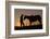 Cowboy Standing with His Horse-Darrell Gulin-Framed Photographic Print