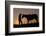 Cowboy Standing with His Horse-Darrell Gulin-Framed Photographic Print