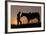 Cowboy Standing with His Horse-Darrell Gulin-Framed Photographic Print