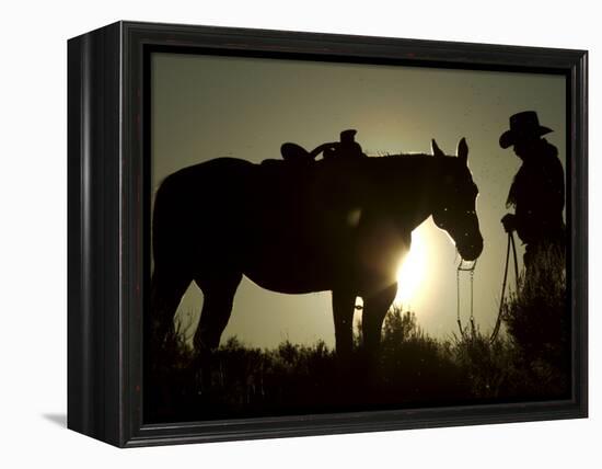 Cowboy With His Horse at Sunset, Ponderosa Ranch, Oregon, USA-Josh Anon-Framed Premier Image Canvas