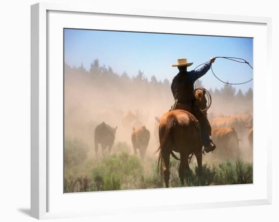 Cowboy Working the Herd on a Cattle Drive through Central Oregon, USA-Janis Miglavs-Framed Photographic Print