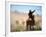 Cowboy Working the Herd on a Cattle Drive through Central Oregon, USA-Janis Miglavs-Framed Photographic Print