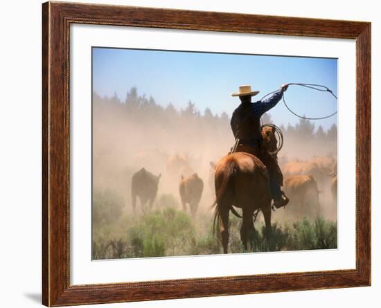 Cowboy Working the Herd on a Cattle Drive through Central Oregon, USA-Janis Miglavs-Framed Photographic Print