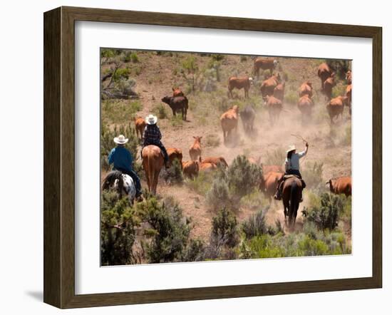 Cowboys and Cowgirls Driving Cattle through Dust in Central Oregon, USA-Janis Miglavs-Framed Photographic Print