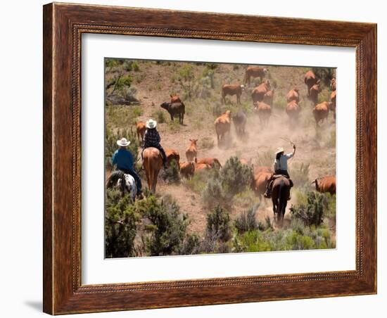 Cowboys and Cowgirls Driving Cattle through Dust in Central Oregon, USA-Janis Miglavs-Framed Photographic Print