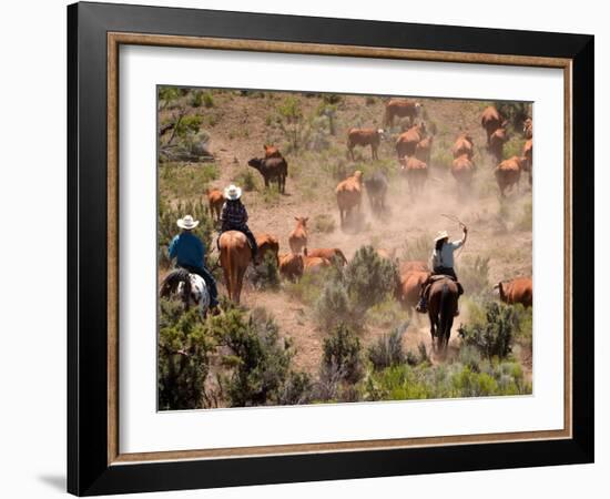 Cowboys and Cowgirls Driving Cattle through Dust in Central Oregon, USA-Janis Miglavs-Framed Photographic Print