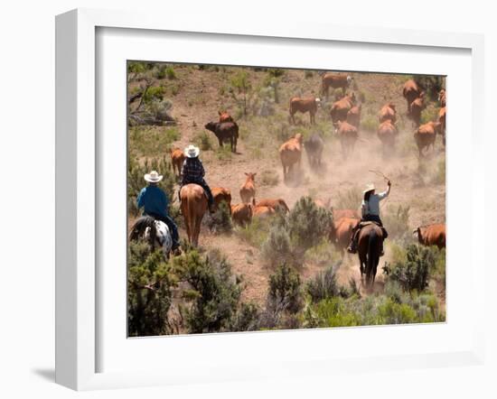 Cowboys and Cowgirls Driving Cattle through Dust in Central Oregon, USA-Janis Miglavs-Framed Photographic Print