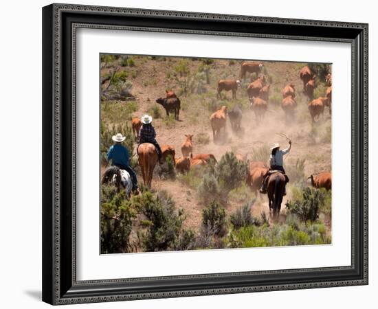 Cowboys and Cowgirls Driving Cattle through Dust in Central Oregon, USA-Janis Miglavs-Framed Photographic Print