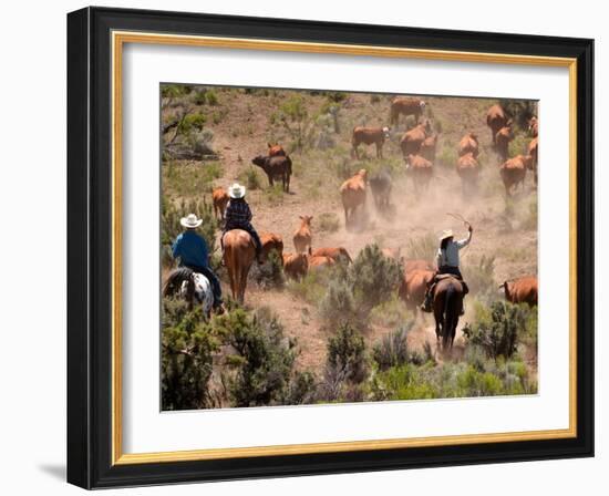 Cowboys and Cowgirls Driving Cattle through Dust in Central Oregon, USA-Janis Miglavs-Framed Photographic Print