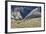 Cowboys and Cowgirls Riding along the Hills of the Big Horn Mountains-Terry Eggers-Framed Photographic Print