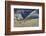 Cowboys and Cowgirls Riding along the Hills of the Big Horn Mountains-Terry Eggers-Framed Photographic Print