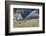 Cowboys and Cowgirls Riding along the Hills of the Big Horn Mountains-Terry Eggers-Framed Photographic Print