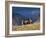 Cowboys and Cowgirls Riding along the Hills of the Big Horn Mountains-Terry Eggers-Framed Photographic Print