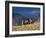 Cowboys and Cowgirls Riding along the Hills of the Big Horn Mountains-Terry Eggers-Framed Photographic Print