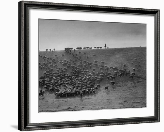 Cowboys at Gerard Ranch, During Round Up and Trail Drive Into Virginia City-Ralph Crane-Framed Photographic Print