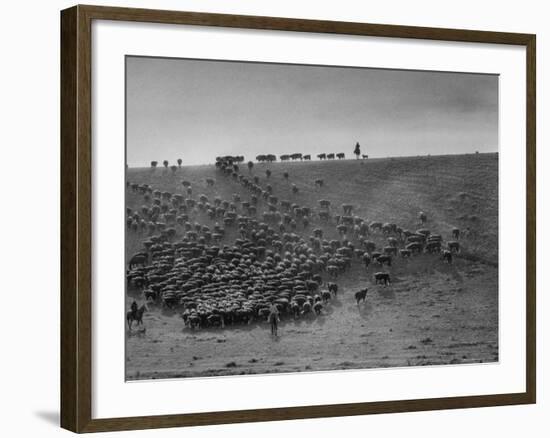 Cowboys at Gerard Ranch, During Round Up and Trail Drive Into Virginia City-Ralph Crane-Framed Photographic Print