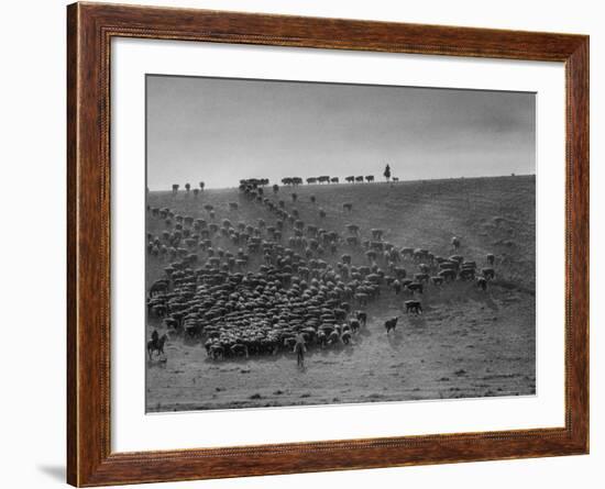 Cowboys at Gerard Ranch, During Round Up and Trail Drive Into Virginia City-Ralph Crane-Framed Photographic Print