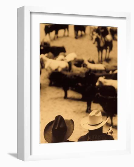 Cowboys at Indoor Rodeo, Fort Worth, Texas, USA-Walter Bibikow-Framed Photographic Print